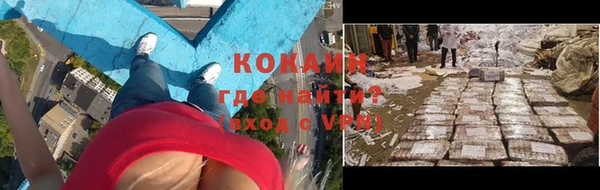 сатива Арсеньев