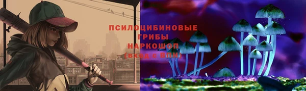 сатива Арсеньев