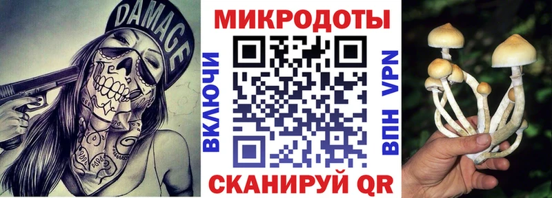 Галлюциногенные грибы прущие грибы  Мензелинск 